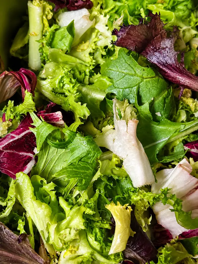 Ensalada verde